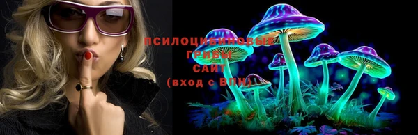 спиды Алексин