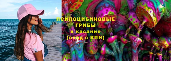 соль ск Алексеевка