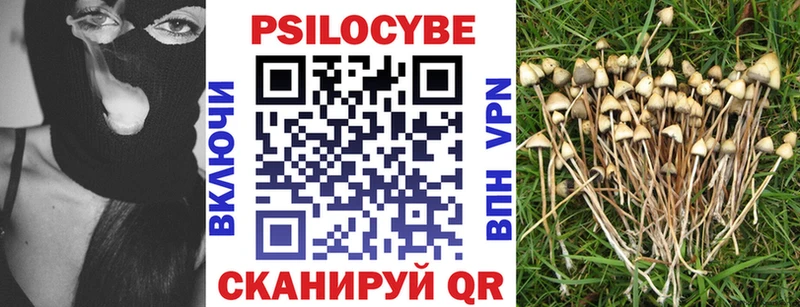 Галлюциногенные грибы прущие грибы  блэк спрут зеркало  Красково  продажа наркотиков 